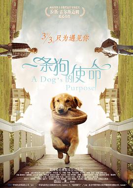 欧洲av免费看