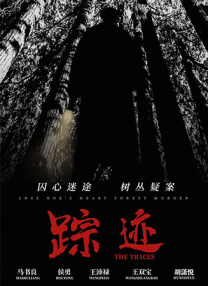 91视频一区二区