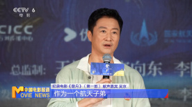 一级黄色蝶片